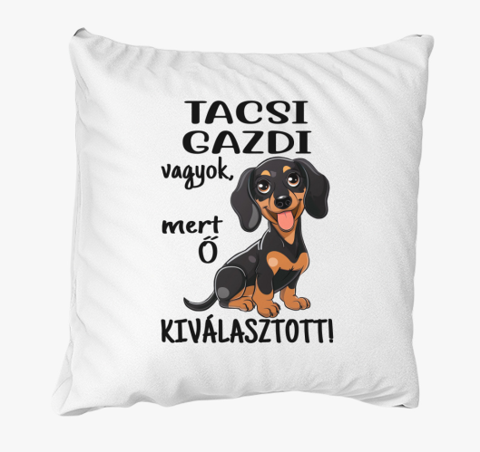 Tacsi gazdi vagyok mert kivála...