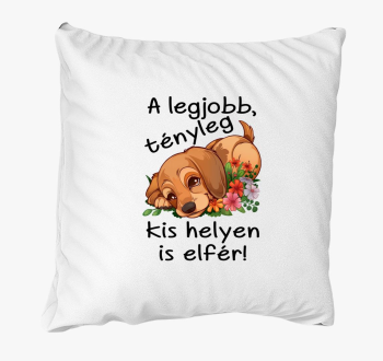 Tacsi A legjobb kis helyen is elfér párna