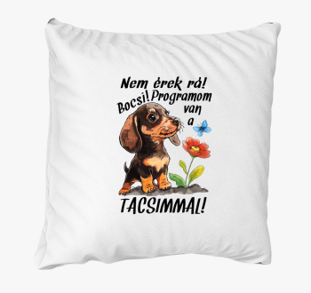 Tacsi Nem érek rá bo...