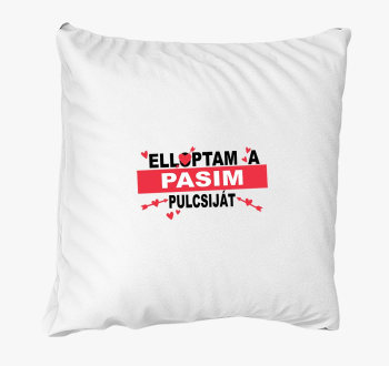 Elloptam a pasim pulcsiját párna