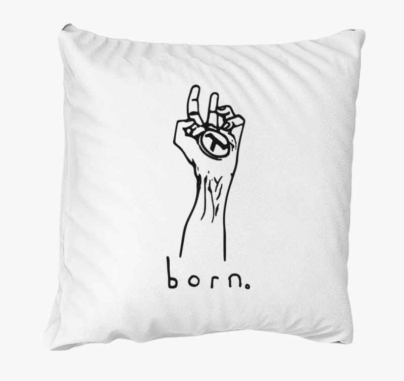 Half Life born poster párna