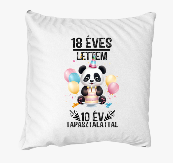 18 éves lettem 10 év alatt párna