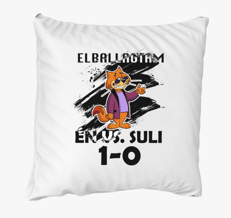 Elballagtam macskás párna