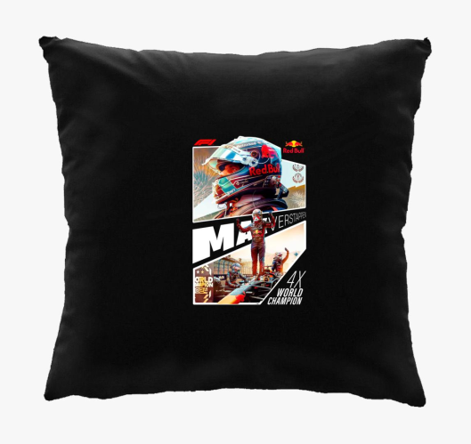 Max Verstappen World Champion ...