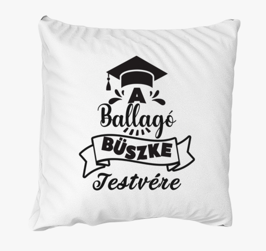 A ballagó büszke testvére párn...