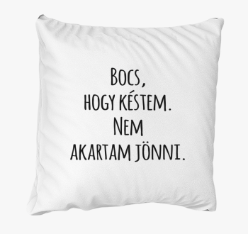 Bocs, hogy késtem nem akartam jönni párna