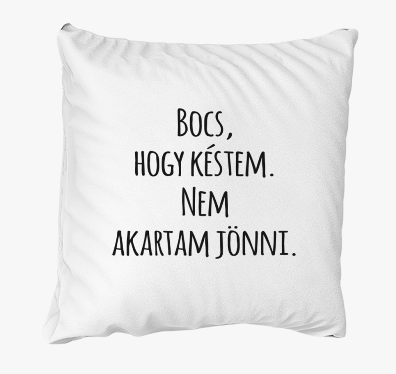 Bocs, hogy késtem nem akartam jönni párna