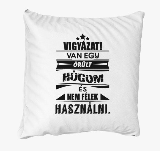Van egy húgom párna