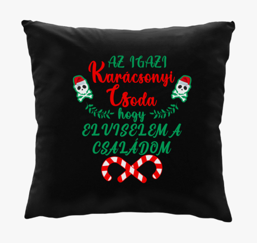Az igazi karácsonyi csoda párn...