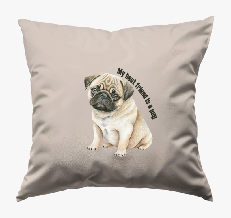 My best friend is a pug párna