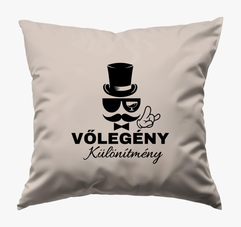 Vőlegény különítmény legénybúcsú párna