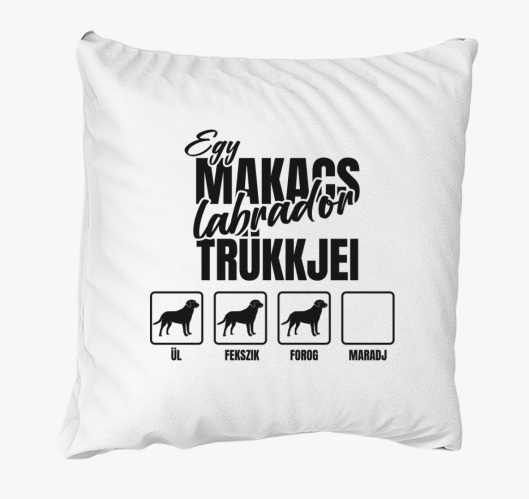 Egy makacs labrador trükkjei p...