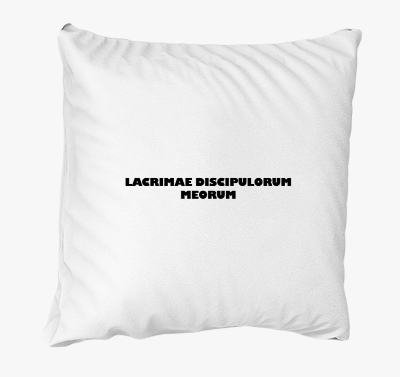 Lacrimae discipulorum meorum párna