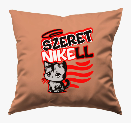 Szeretni kell cicusos párna