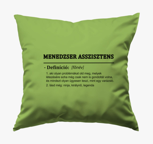 Menedzser assisztens párna