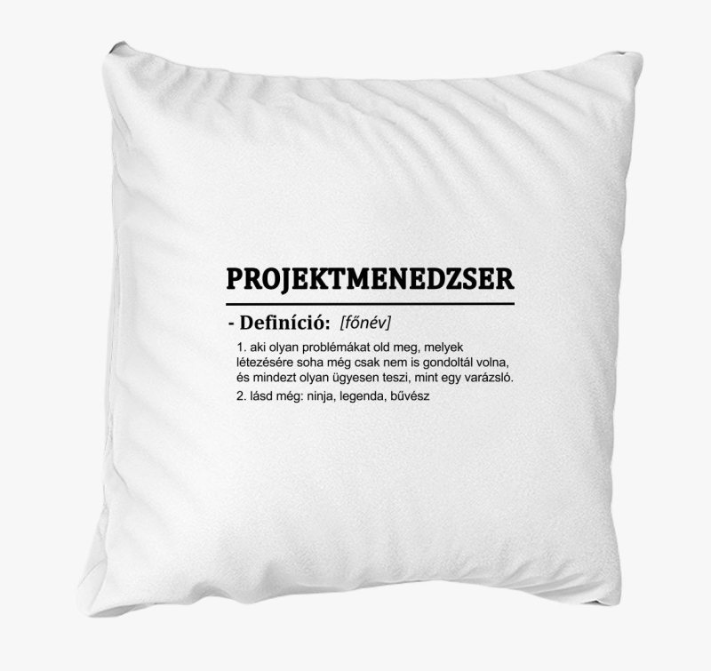 Projektmenedzser párna