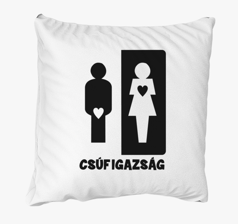 Csúf igazság párna