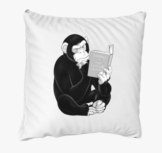 Olvasó majom párna