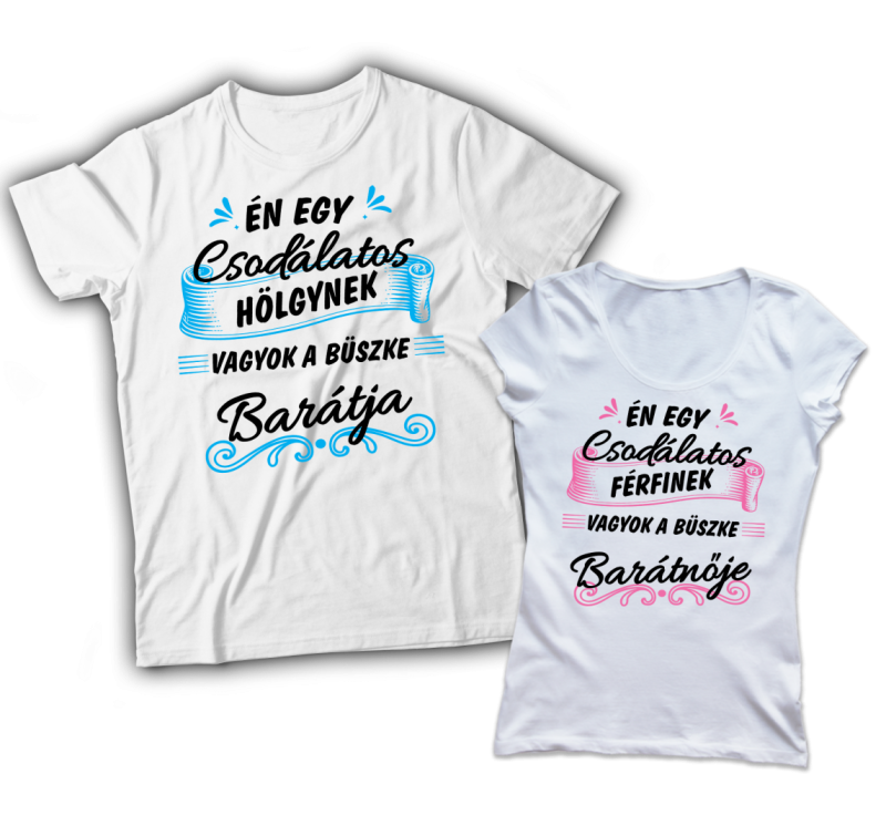 Én egy csodálatos hölgynek vagyok a büszke barátja póló