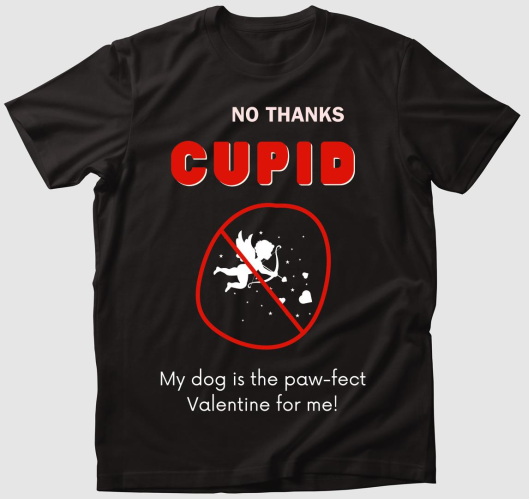 No thanks cupid2 póló