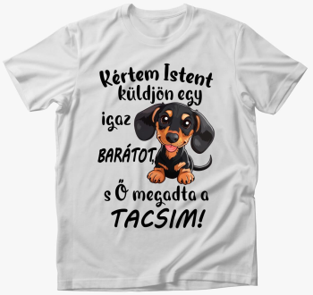 Tacsi Kértem Istent ...