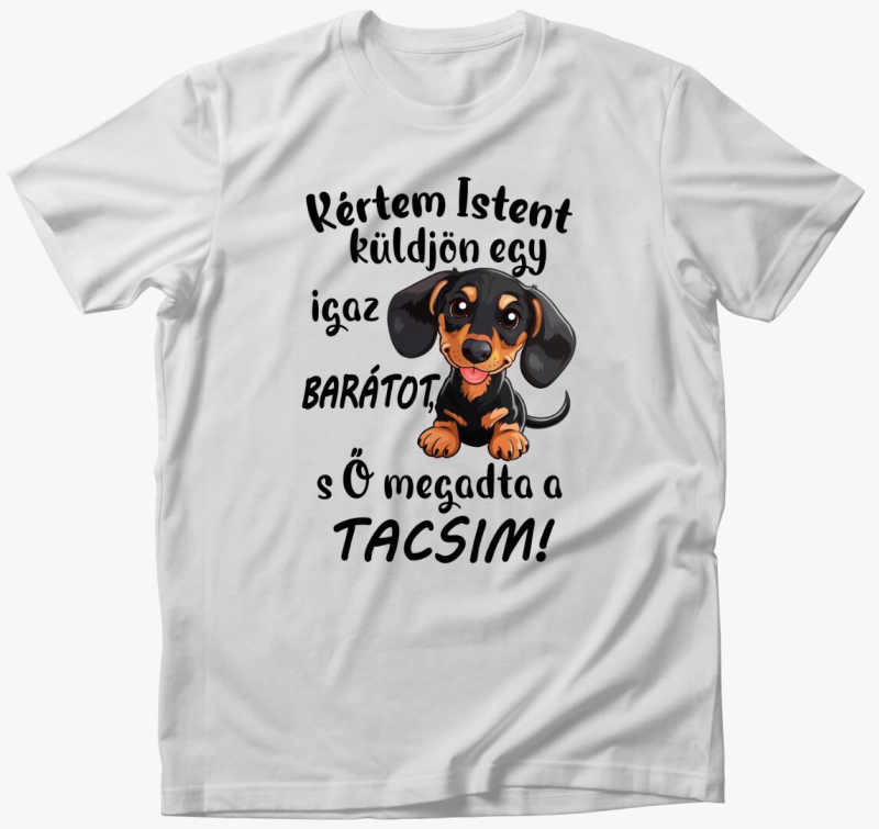 Tacsi Kértem Istent küldjön igaz barátot póló