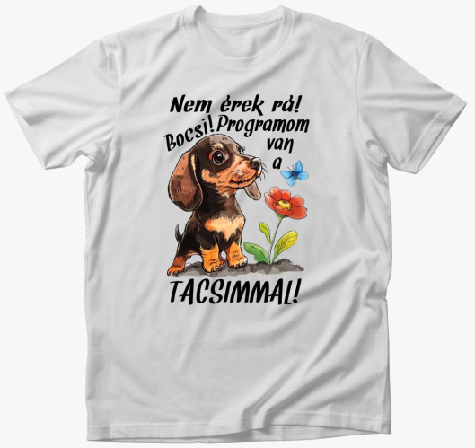 Tacsi Nem érek rá bocsi progra...