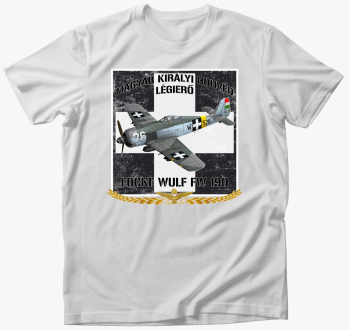 Focke Wulf FW 190 2 