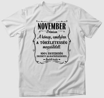 November a hónap amelyben a tökéletesség megszületett póló