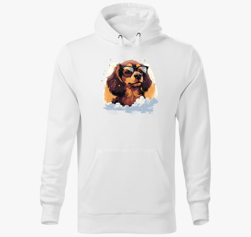 Tacsi szemüveges kapucnis pulóver