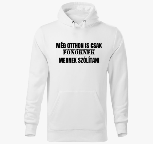 Még otthon is csak főnöknek me...