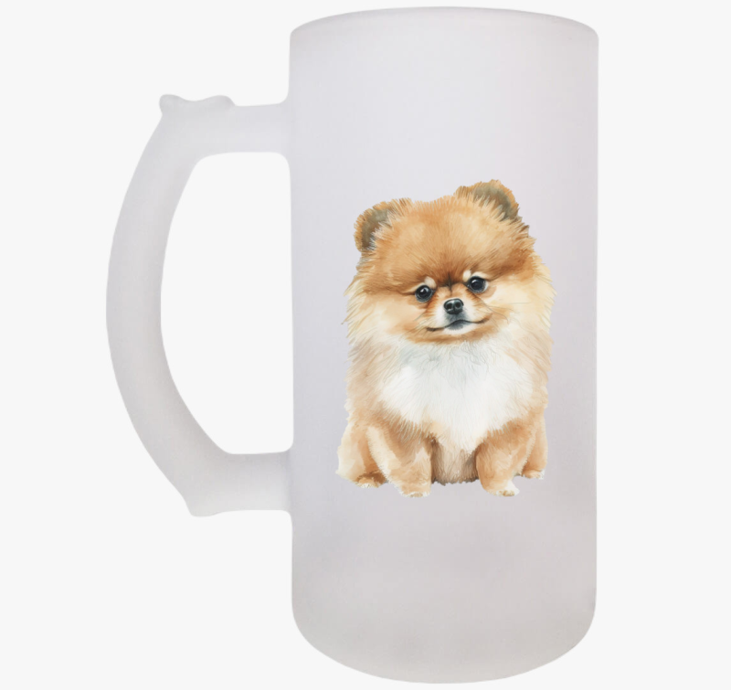 Pomerániai Spicc söröskorsó