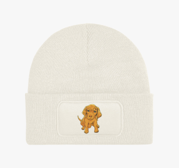 Aranyos kutyus téli 