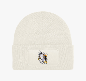 Repedezett sas téli 