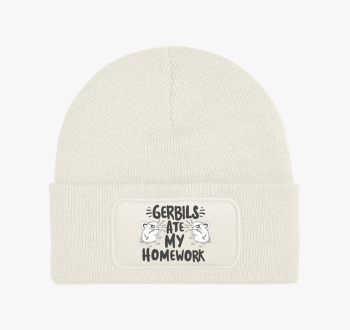 Gerbils ate homework...