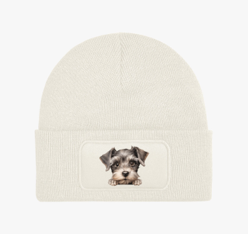 Pici Snaucer téli sa