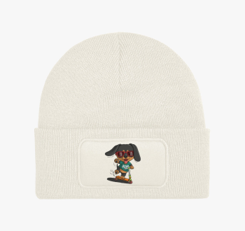 Rollerező kutya téli