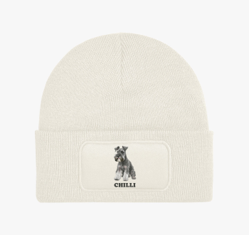 Shnauzer névvel téli