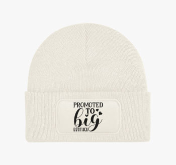 Big Brother téli sap