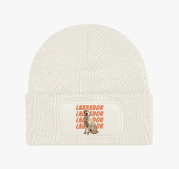 Labrador mintás téli