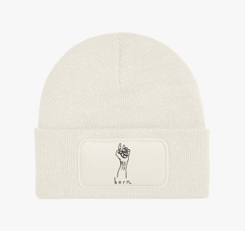 Half Life born poste...