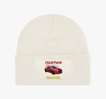 Mustang Racing téli 