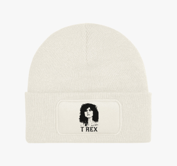 T-REX  Marc Bolan po...