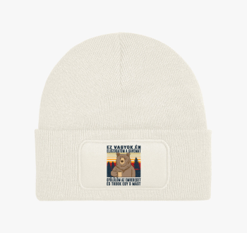 Kiégett medve téli s