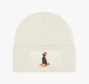 Karácsonyi doberman ...