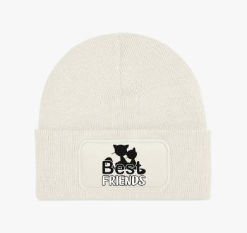 Macskás barátos téli