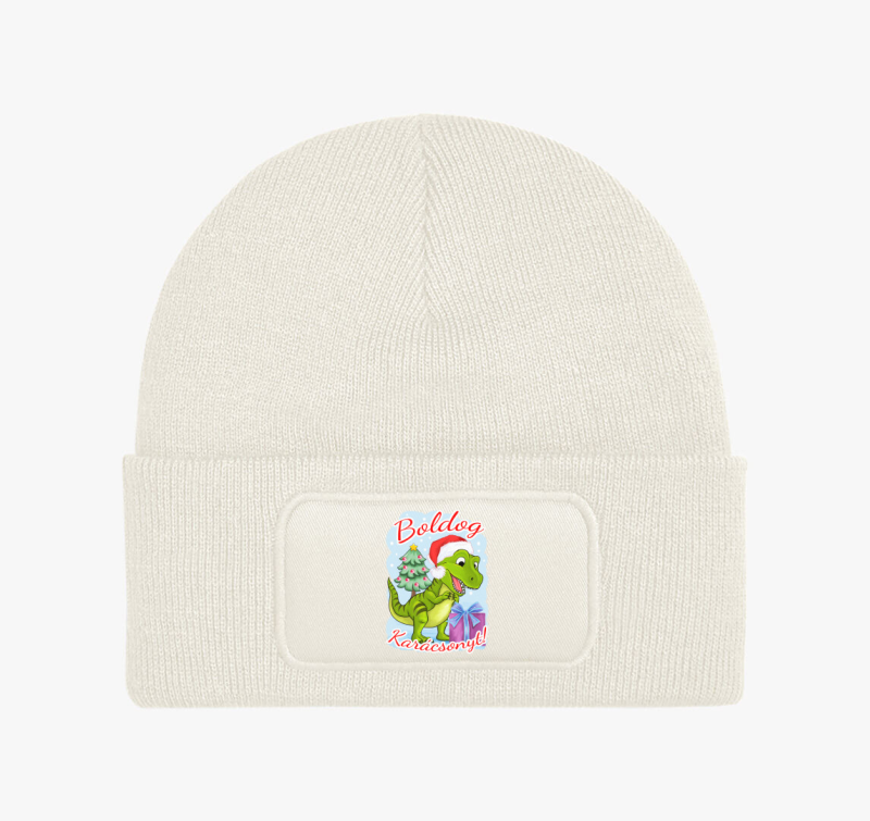 Boldog karácsonyt dínó téli sapka