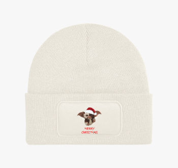 Gizmo karácsonyi tél