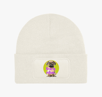 Mopsz kutya téli sap