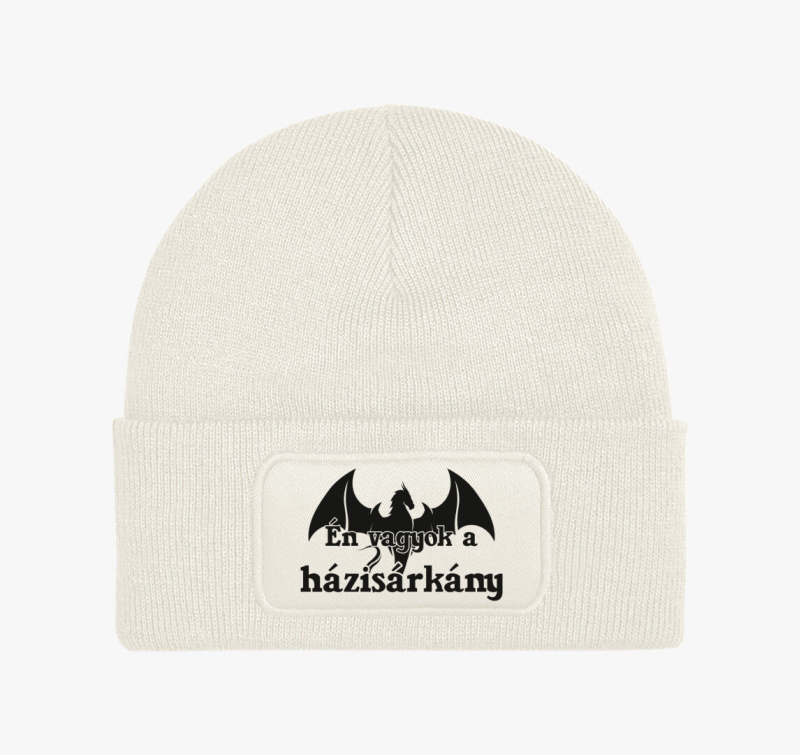Én vagyok a házisárkány páros téli sapka